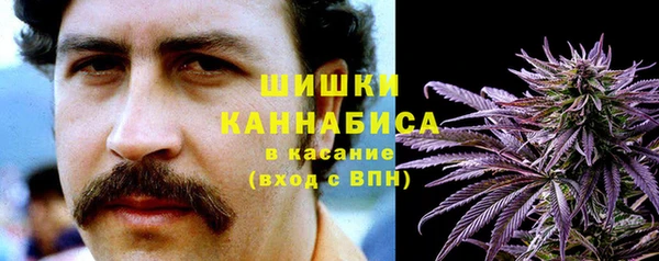 дмт Аркадак