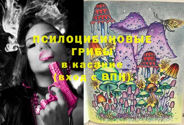 герыч Арсеньев