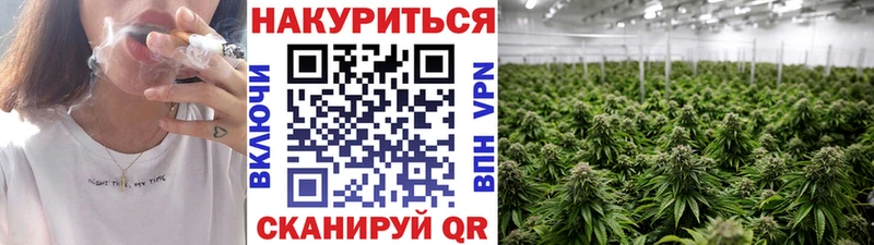 OMG онион  цена   Судогда  Шишки марихуана THC 21% 